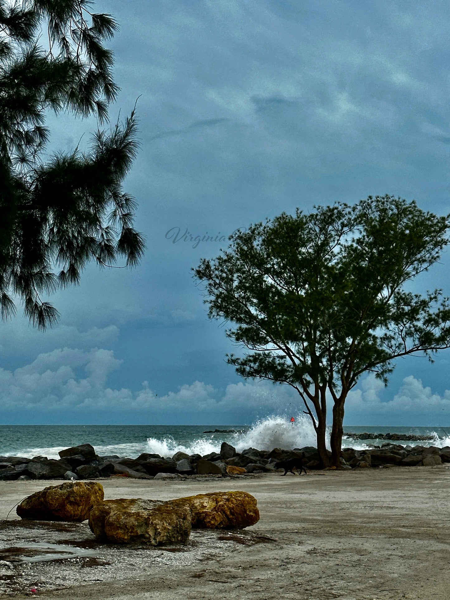 Before the Storm