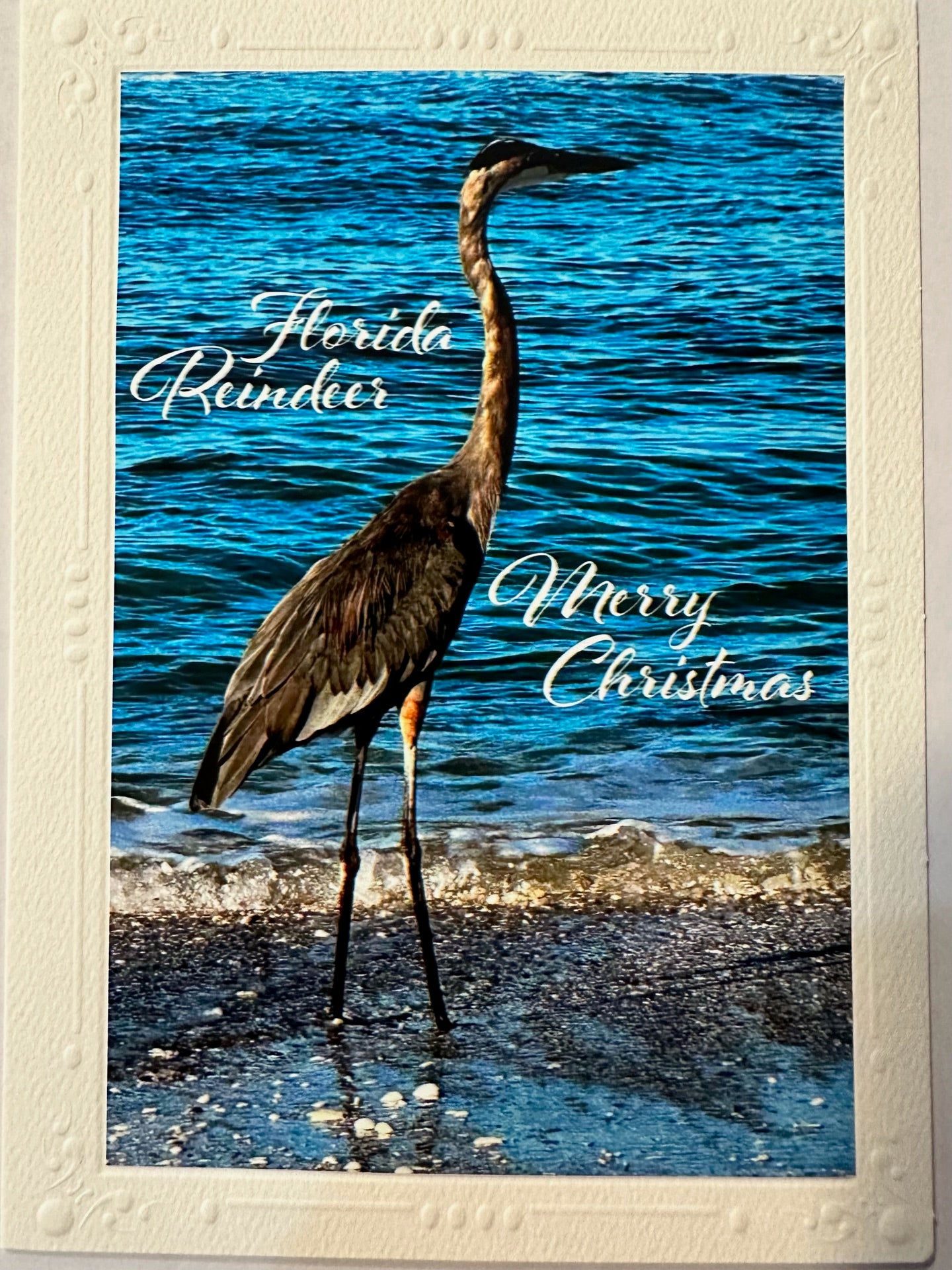 Florida Reindeer (Four or more of any cards, $4 per card)