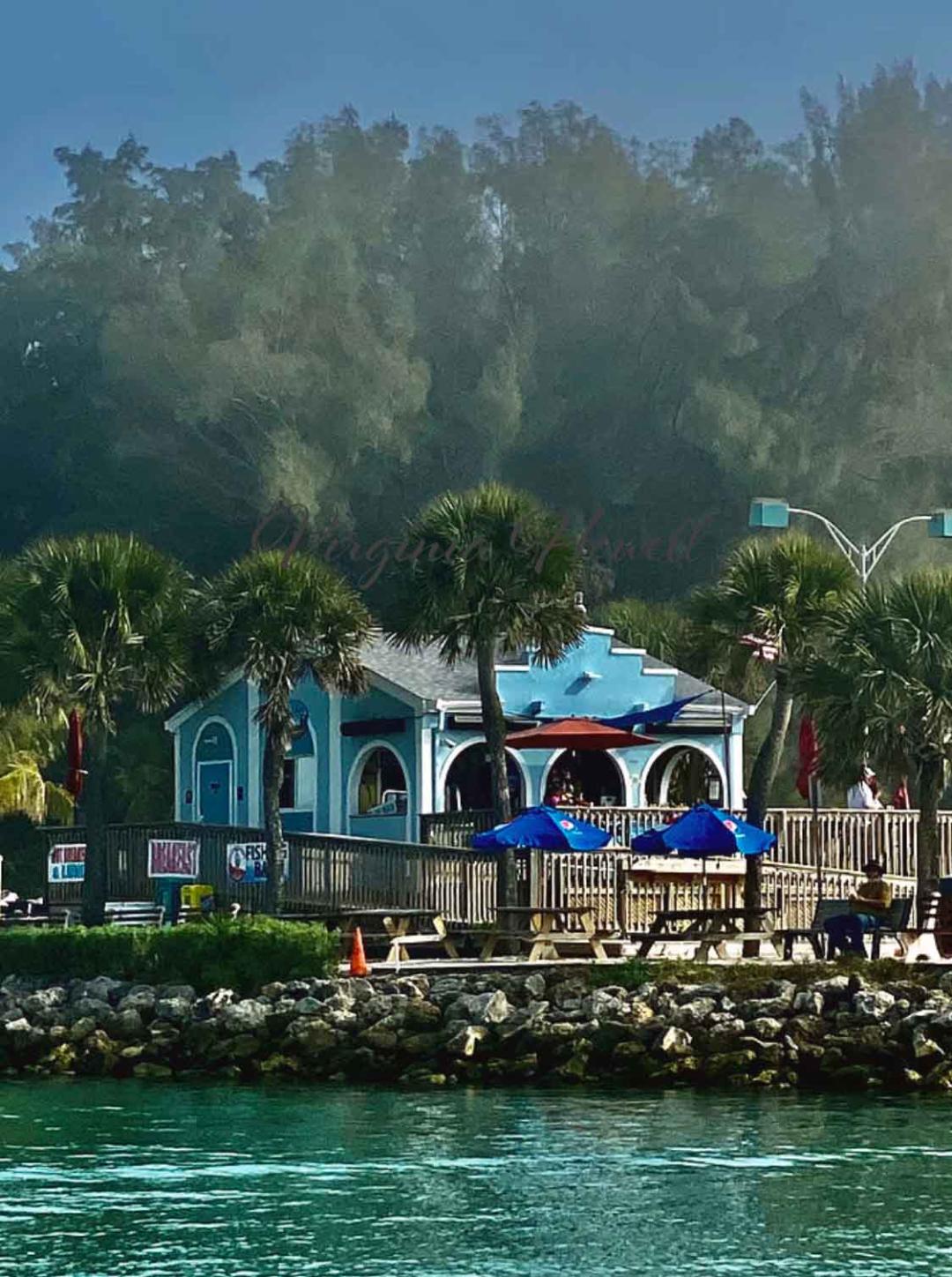 Jetty Jacks in the Fog