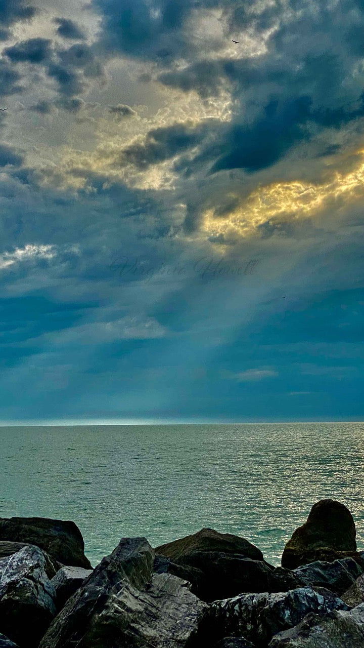 Rays on the Gulf