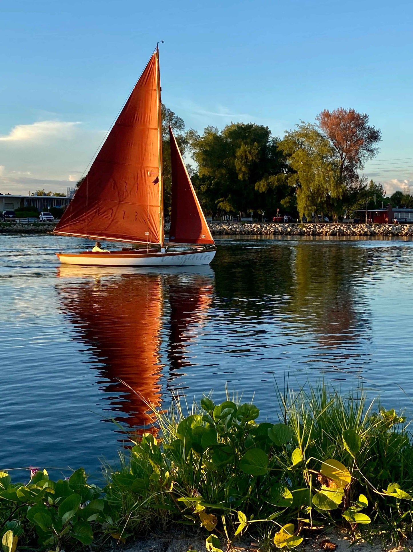 Serenity with a View