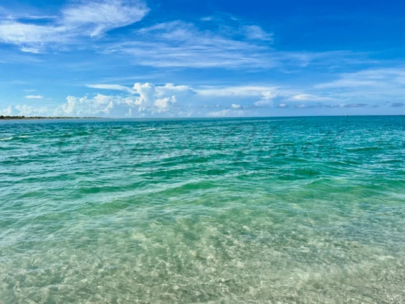 I Can See For Miles And Photo
