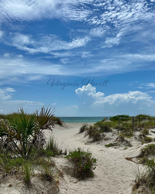 Beach Path