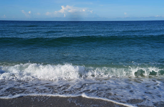 Gulf of Mexico