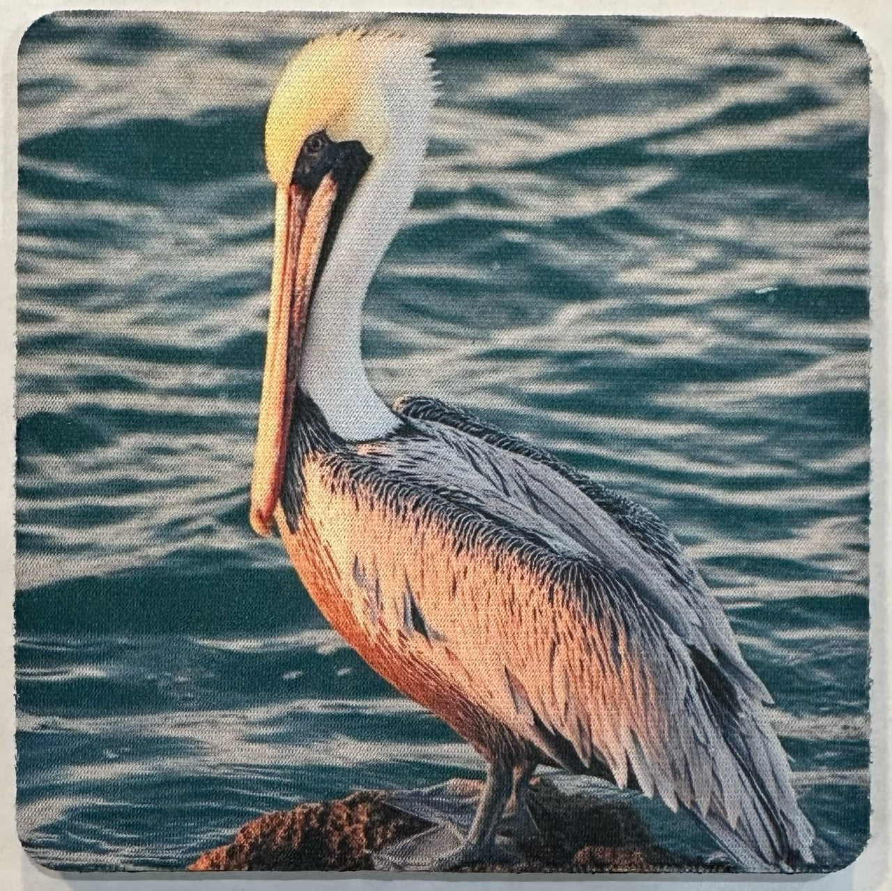 Pelican Pete Coaster