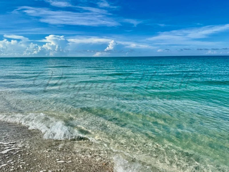 Turquoise Waters